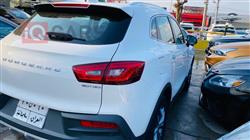 بۆرگوارد BX5